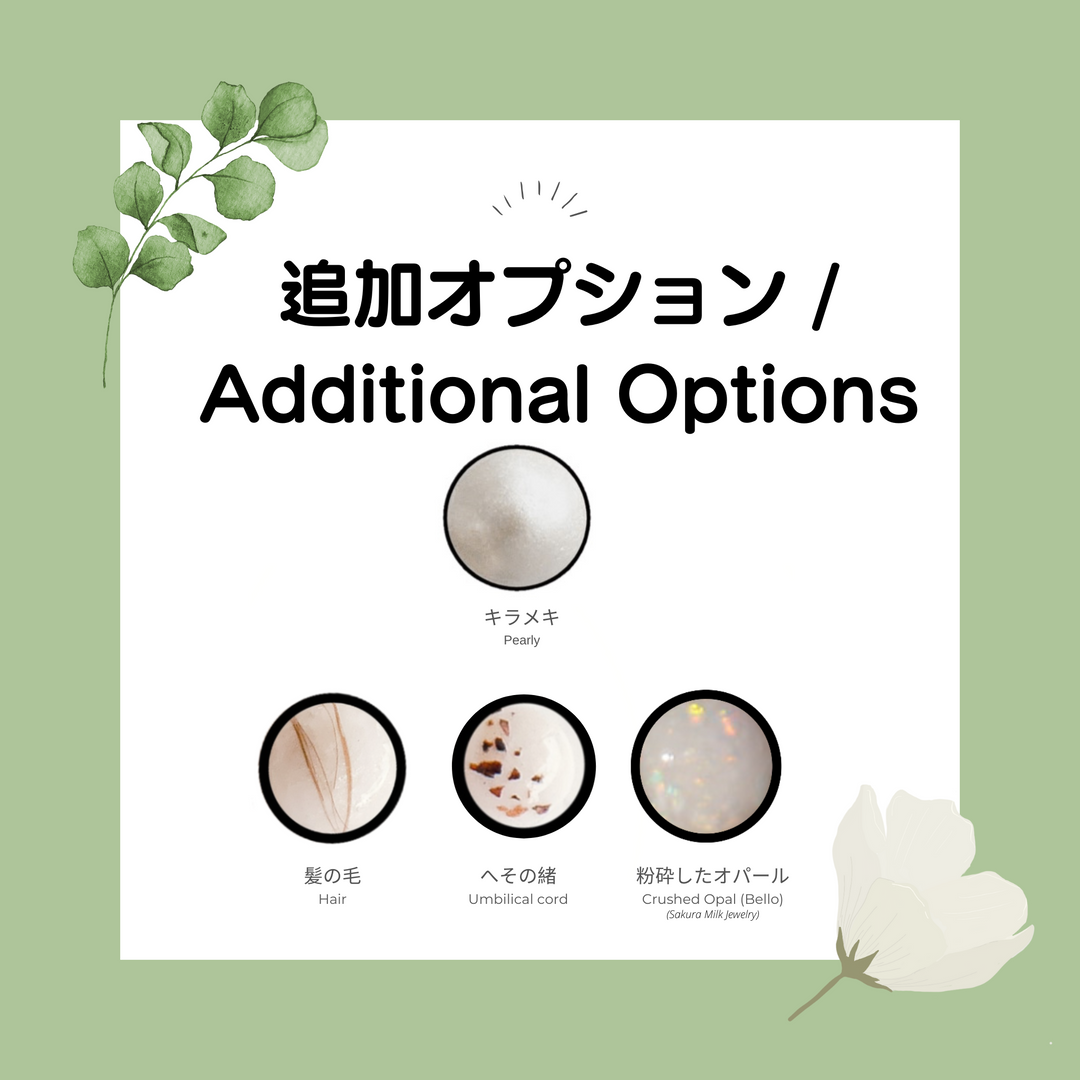 追加オプション Additional Options