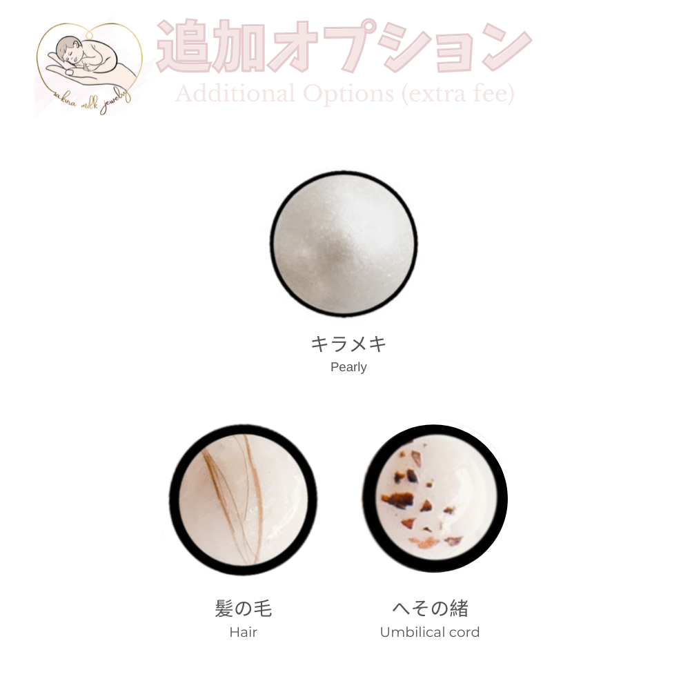 追加オプション Additional Options